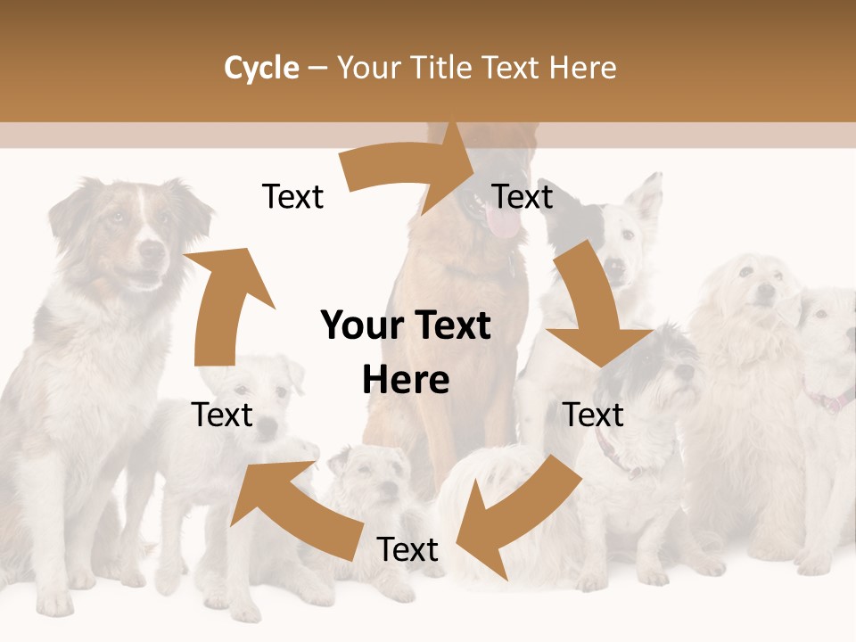 Parson Pet Mongrel PowerPoint Template