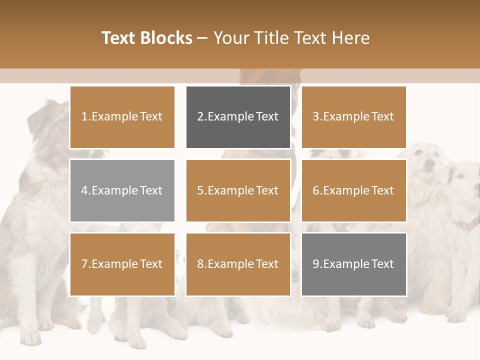 Parson Pet Mongrel PowerPoint Template