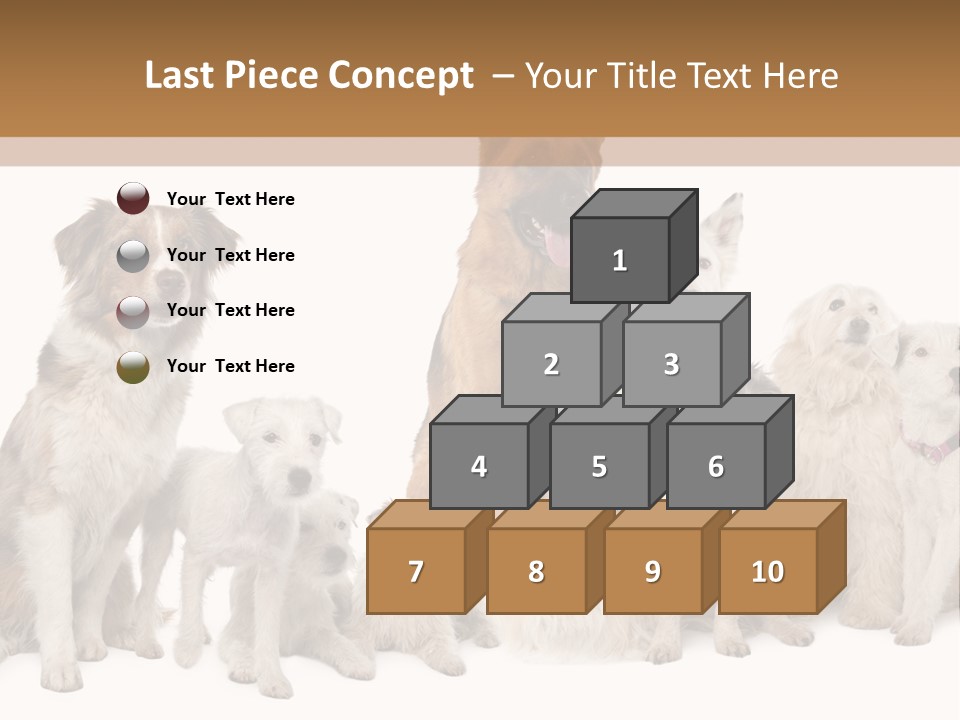 Parson Pet Mongrel PowerPoint Template
