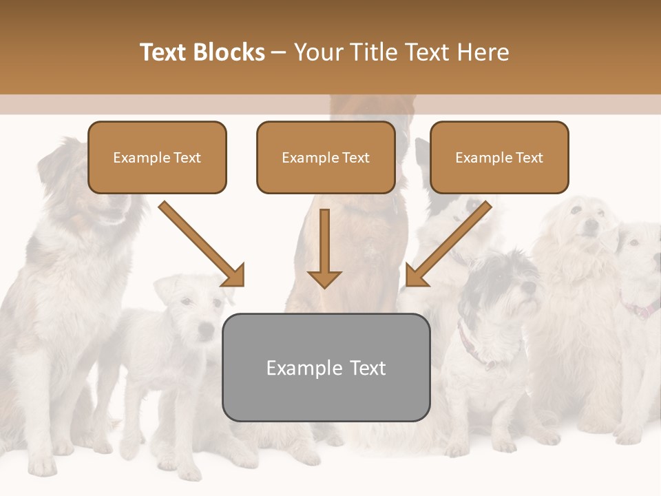 Parson Pet Mongrel PowerPoint Template