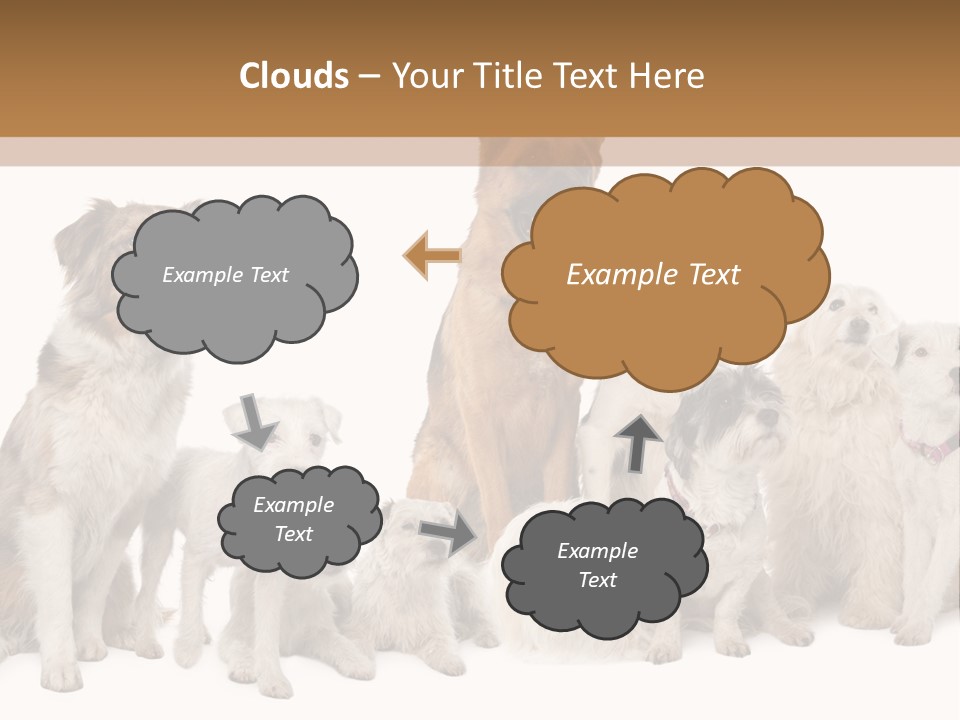 Parson Pet Mongrel PowerPoint Template