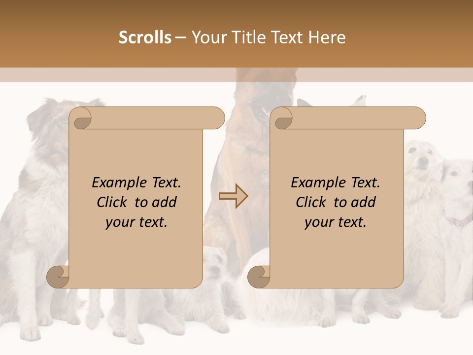 Parson Pet Mongrel PowerPoint Template
