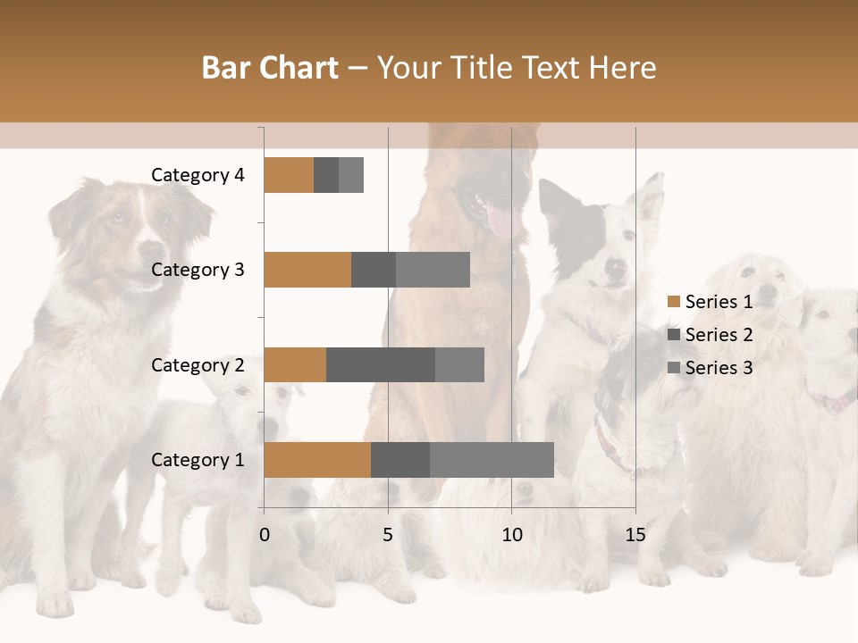 Parson Pet Mongrel PowerPoint Template