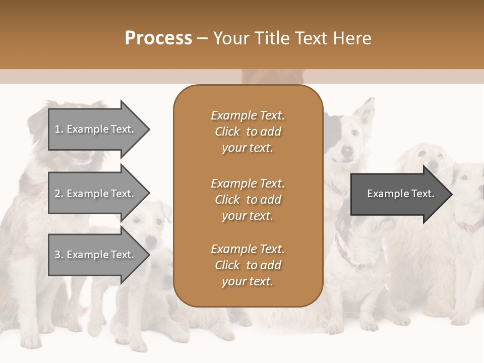 Parson Pet Mongrel PowerPoint Template