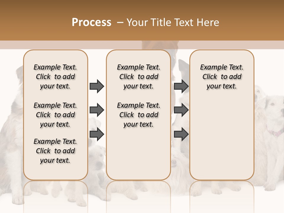 Parson Pet Mongrel PowerPoint Template