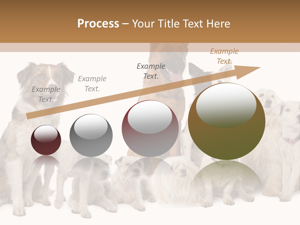 Parson Pet Mongrel PowerPoint Template