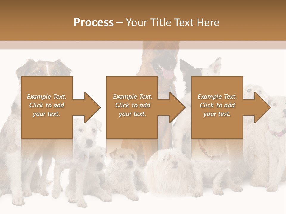 Parson Pet Mongrel PowerPoint Template