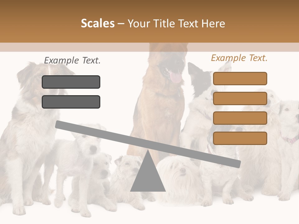 Parson Pet Mongrel PowerPoint Template