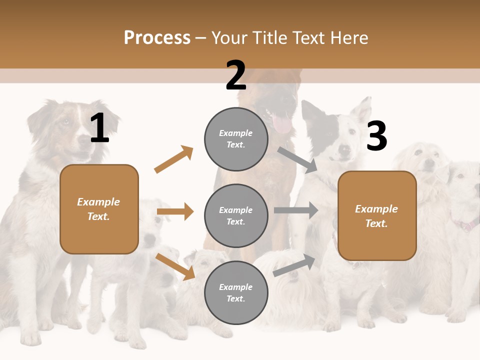 Parson Pet Mongrel PowerPoint Template