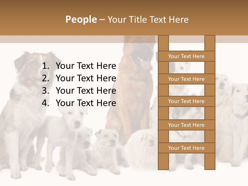 Parson Pet Mongrel PowerPoint Template