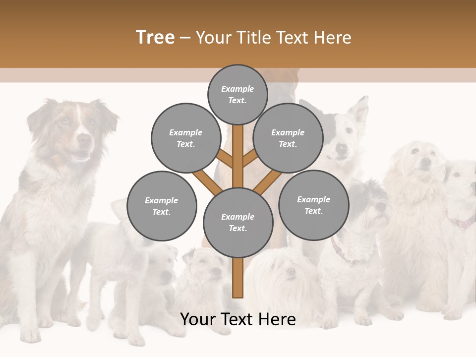 Parson Pet Mongrel PowerPoint Template