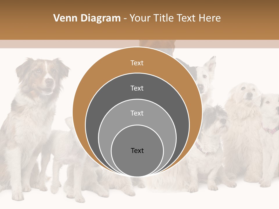 Parson Pet Mongrel PowerPoint Template