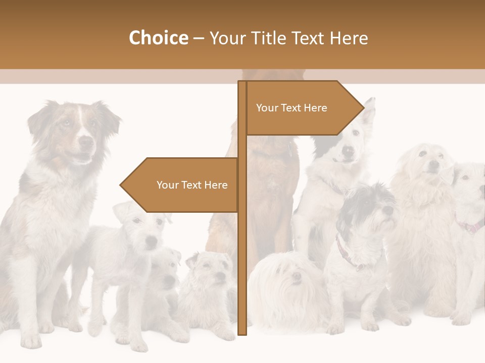 Parson Pet Mongrel PowerPoint Template