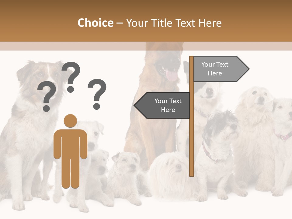 Parson Pet Mongrel PowerPoint Template