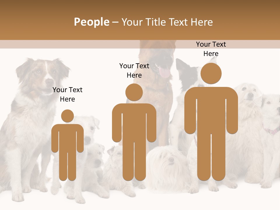 Parson Pet Mongrel PowerPoint Template