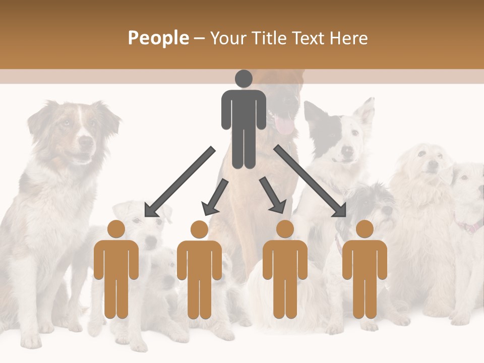 Parson Pet Mongrel PowerPoint Template