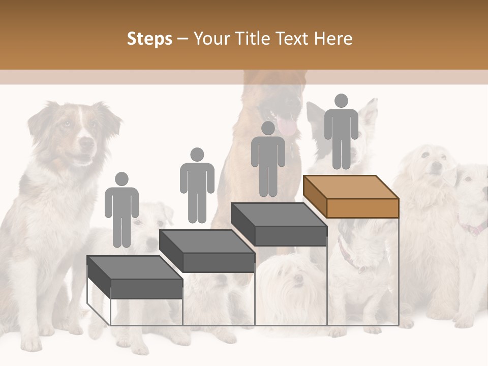 Parson Pet Mongrel PowerPoint Template