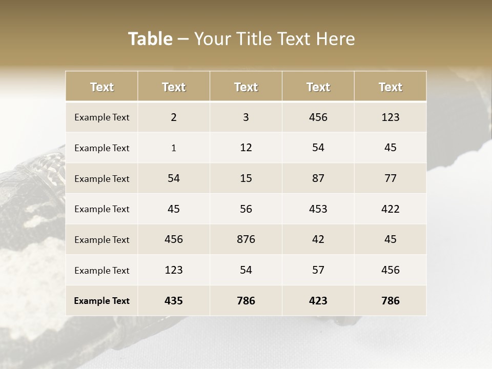 Light Associate Solution PowerPoint Template