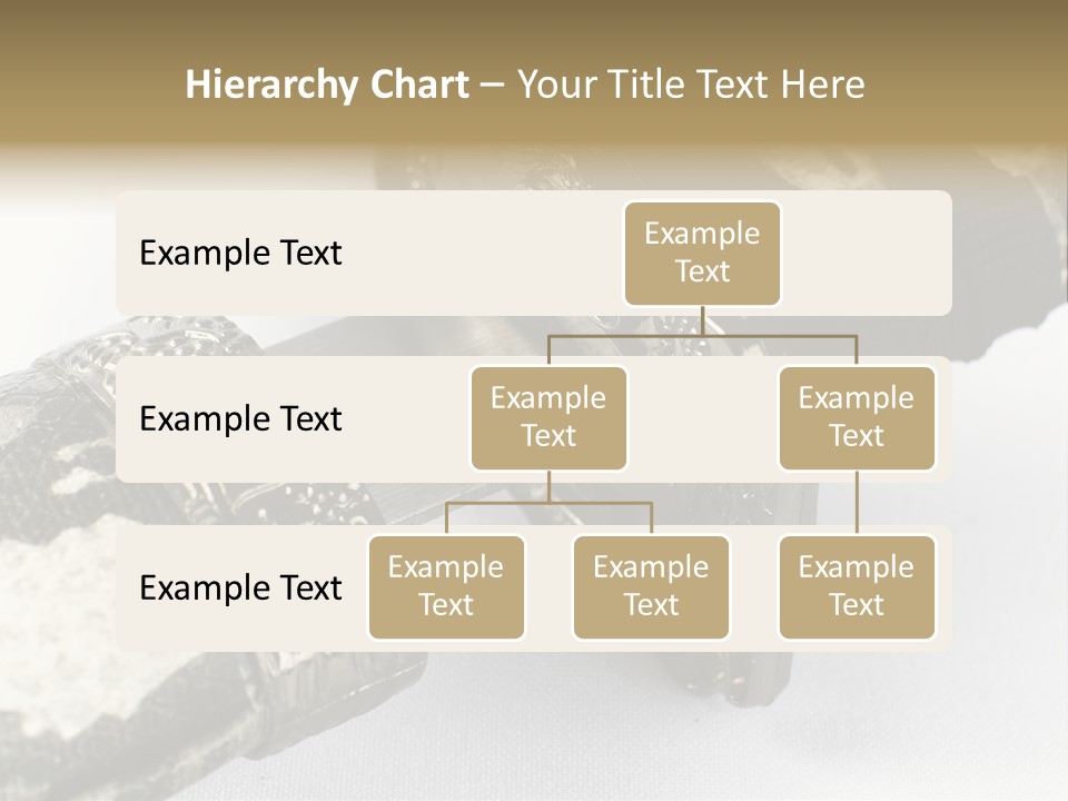 Light Associate Solution PowerPoint Template