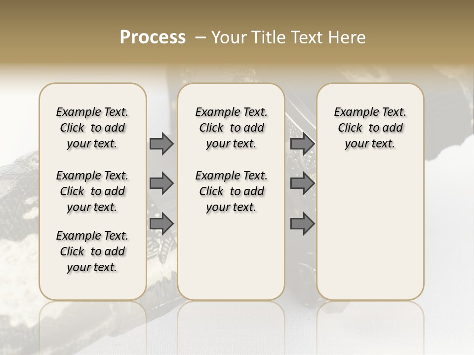 Light Associate Solution PowerPoint Template