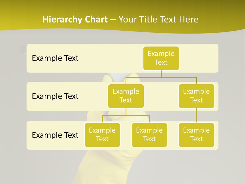 Window Yellow Holds PowerPoint Template