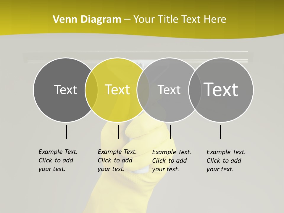 Window Yellow Holds PowerPoint Template