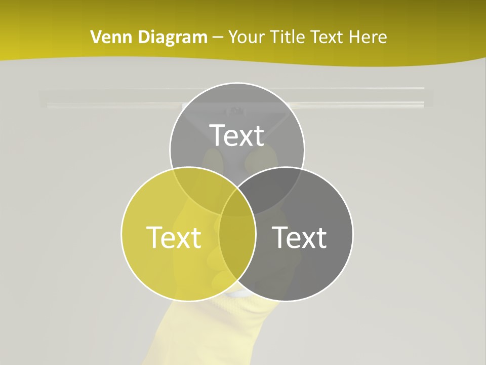 Window Yellow Holds PowerPoint Template