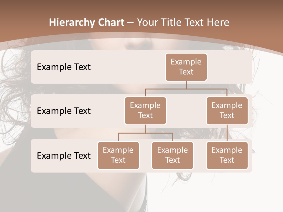 Hair Bright Beauty PowerPoint Template