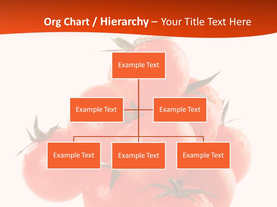 A Bunch Of Tomatoes On A White Background PowerPoint Template