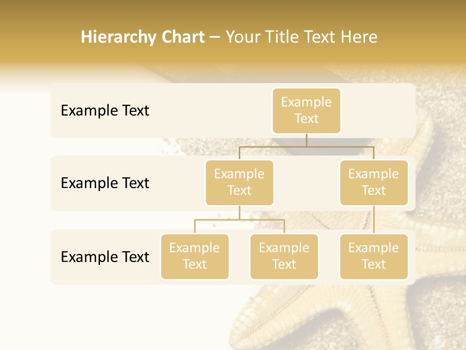 Beach Background Concept PowerPoint Template