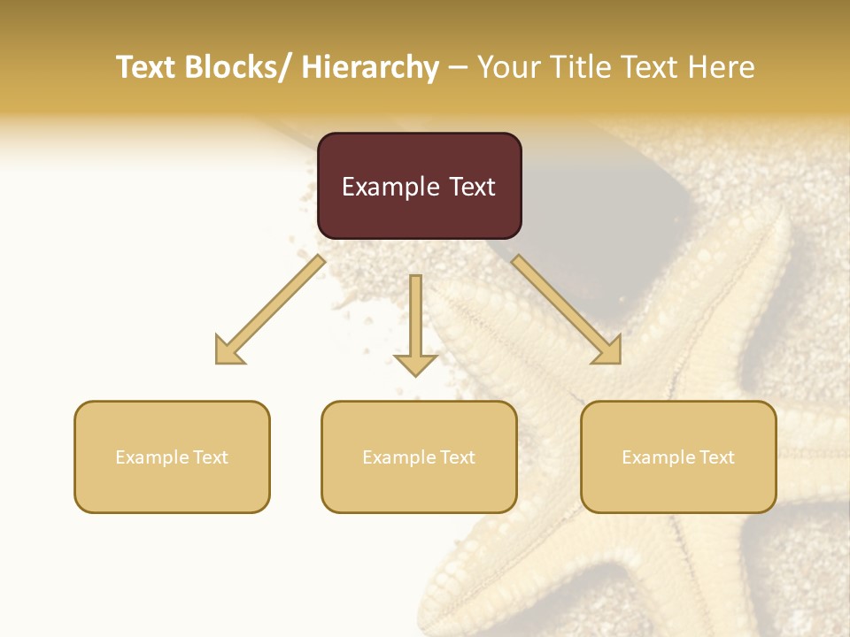 Beach Background Concept PowerPoint Template