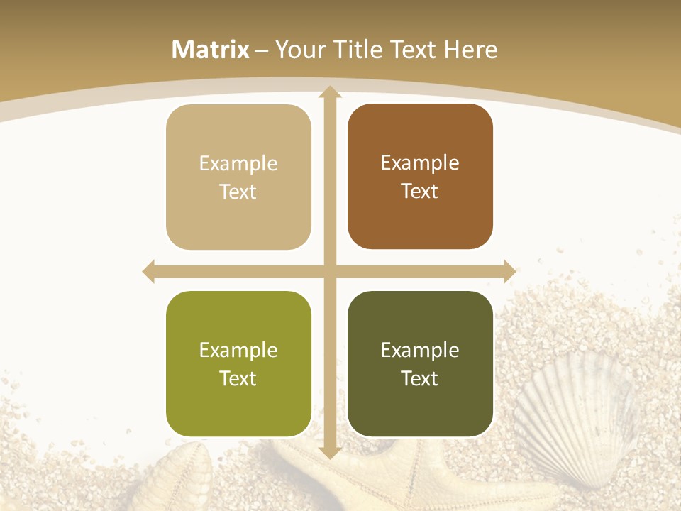 Seashell Isolated Holidays PowerPoint Template