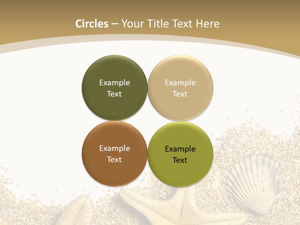 Seashell Isolated Holidays PowerPoint Template