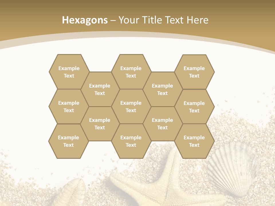 Seashell Isolated Holidays PowerPoint Template