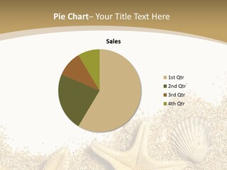 Seashell Isolated Holidays PowerPoint Template