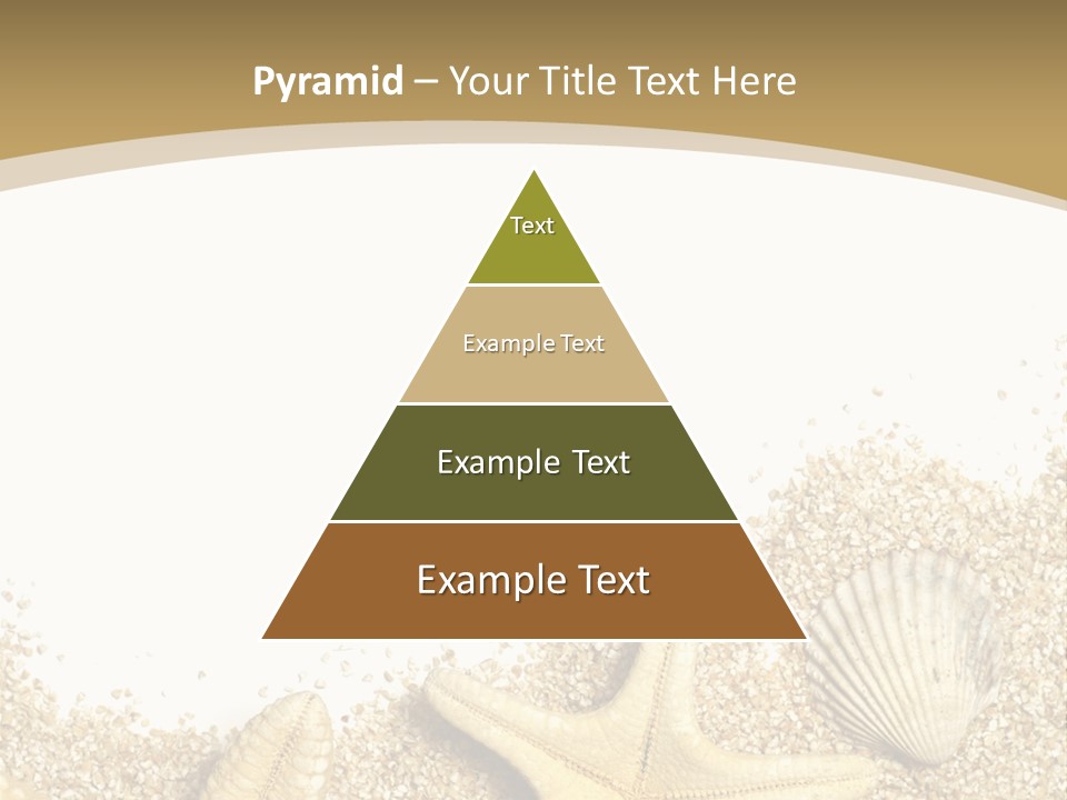 Seashell Isolated Holidays PowerPoint Template