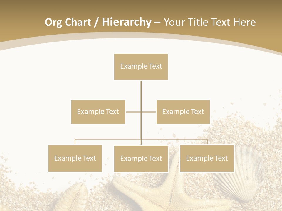 Seashell Isolated Holidays PowerPoint Template