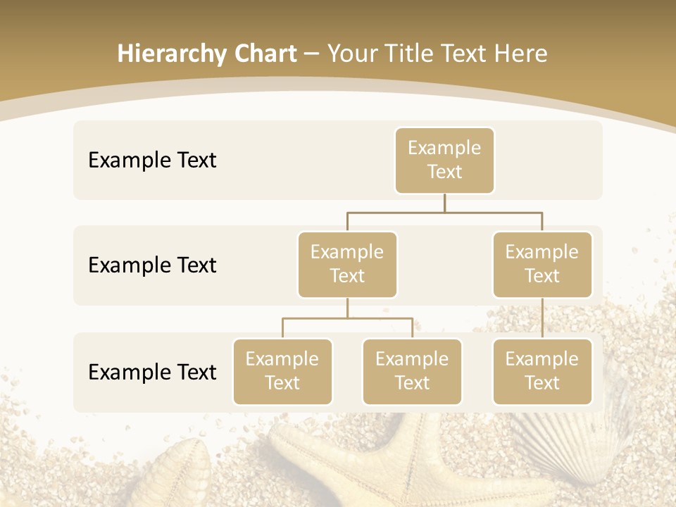 Seashell Isolated Holidays PowerPoint Template