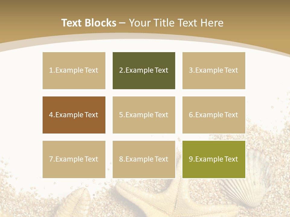 Seashell Isolated Holidays PowerPoint Template