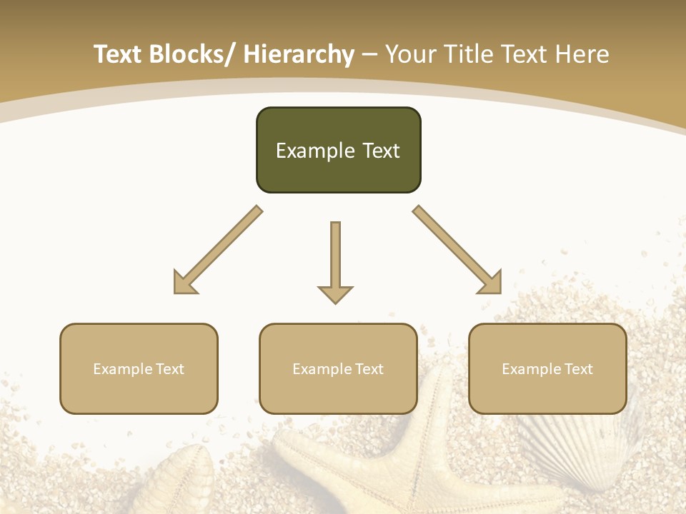 Seashell Isolated Holidays PowerPoint Template