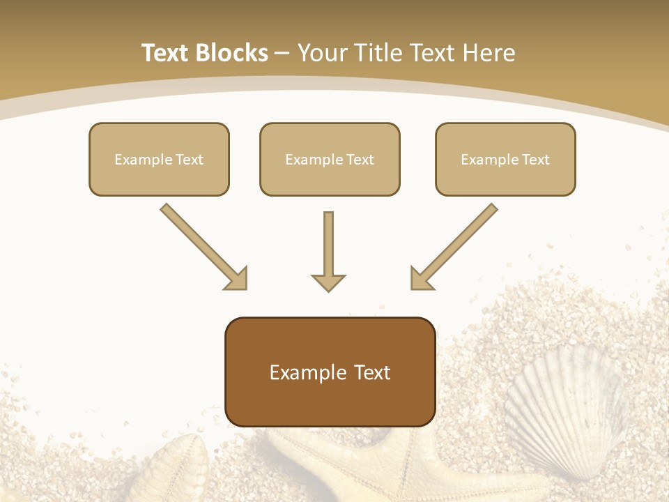 Seashell Isolated Holidays PowerPoint Template