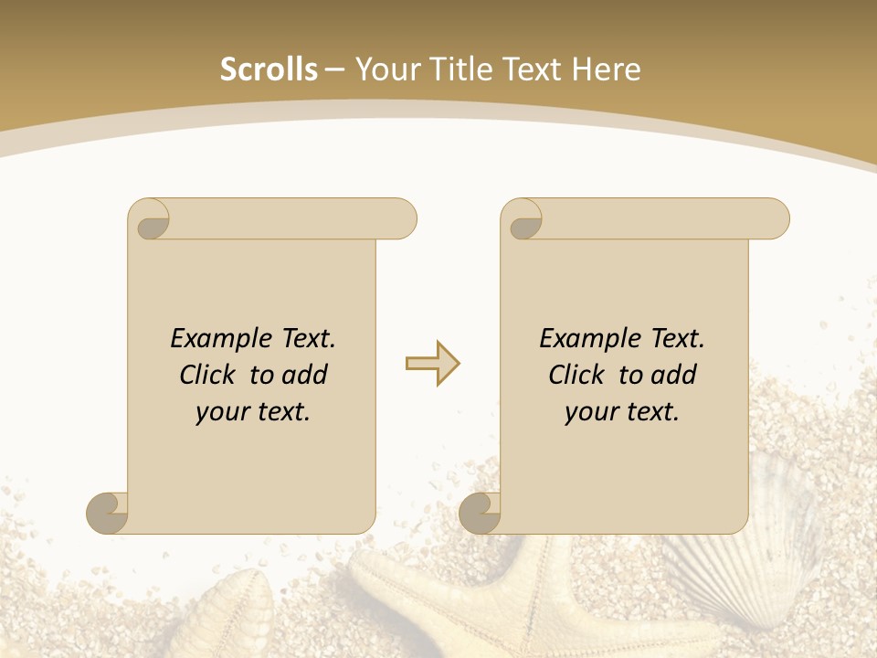 Seashell Isolated Holidays PowerPoint Template