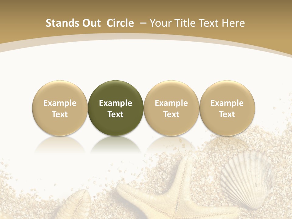 Seashell Isolated Holidays PowerPoint Template