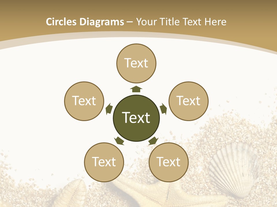 Seashell Isolated Holidays PowerPoint Template