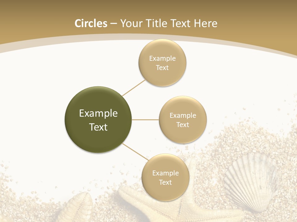 Seashell Isolated Holidays PowerPoint Template