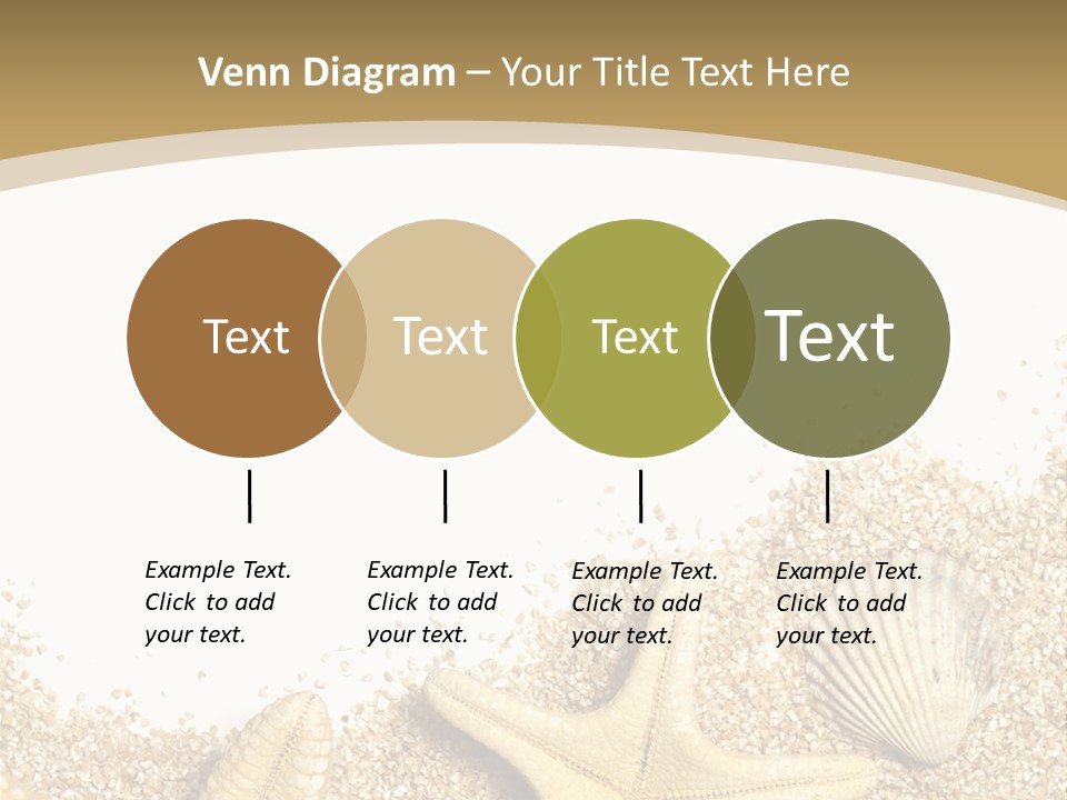 Seashell Isolated Holidays PowerPoint Template