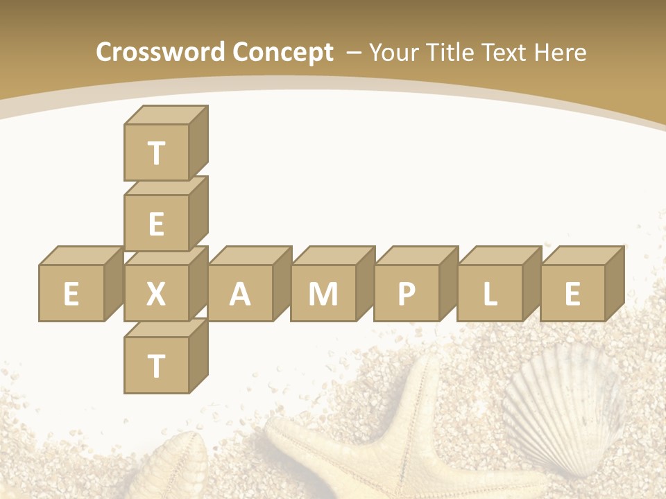 Seashell Isolated Holidays PowerPoint Template