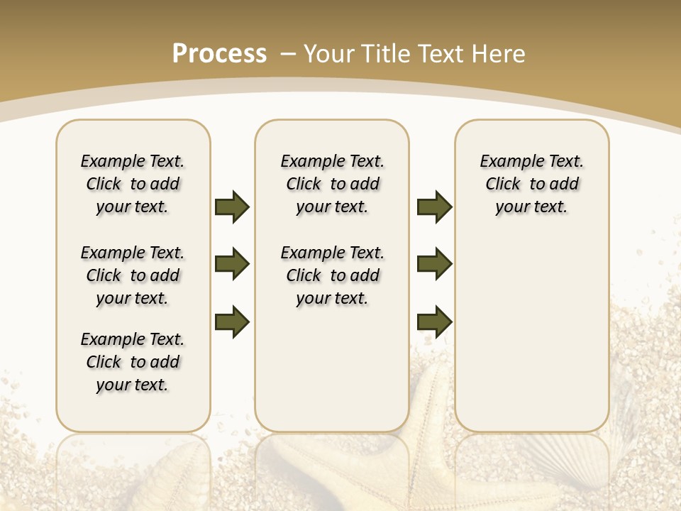 Seashell Isolated Holidays PowerPoint Template