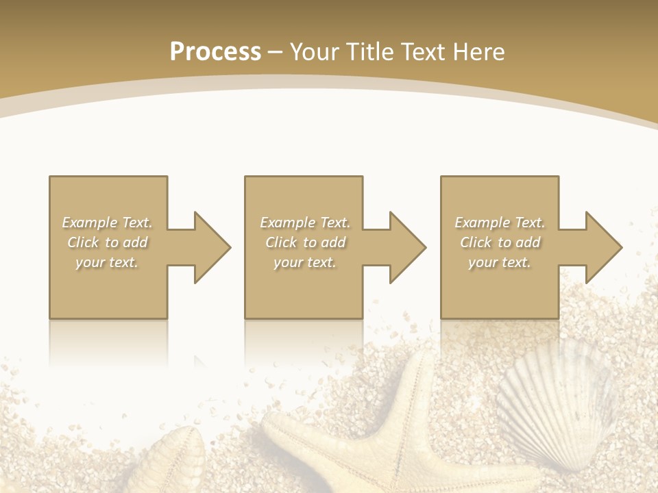 Seashell Isolated Holidays PowerPoint Template
