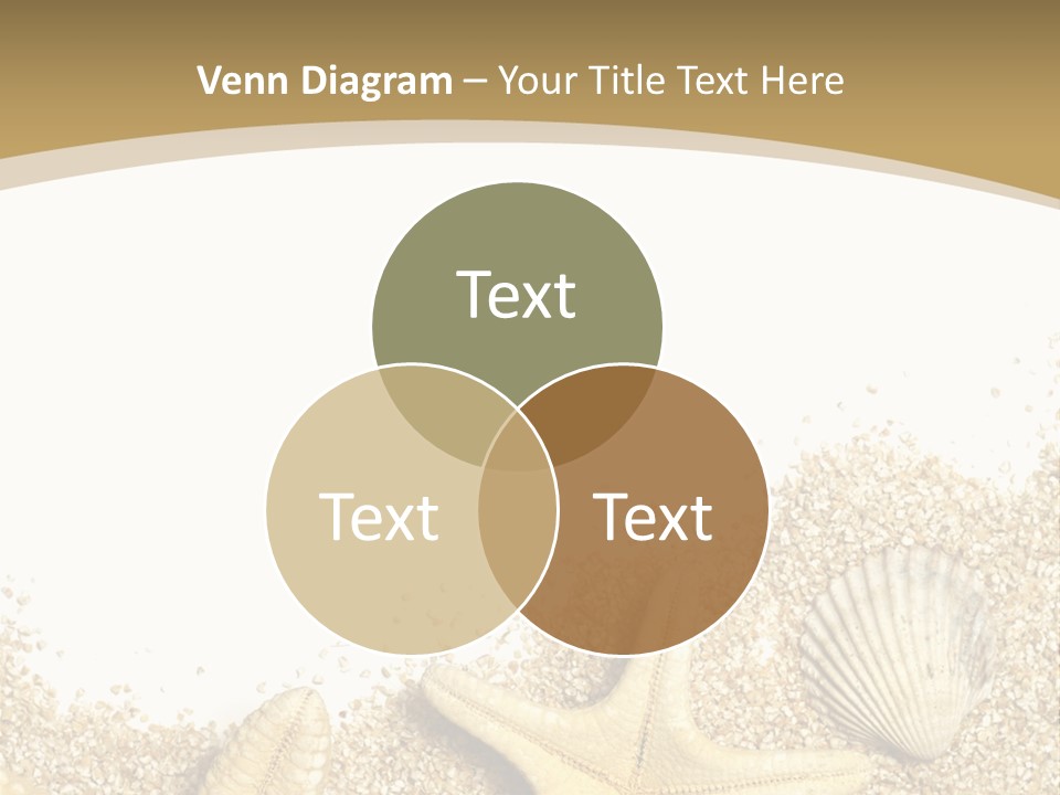 Seashell Isolated Holidays PowerPoint Template